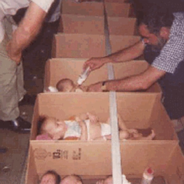 Babies in boxes 3 v2 orig