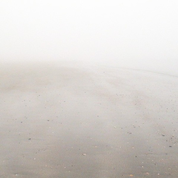 Brouillard 7891401