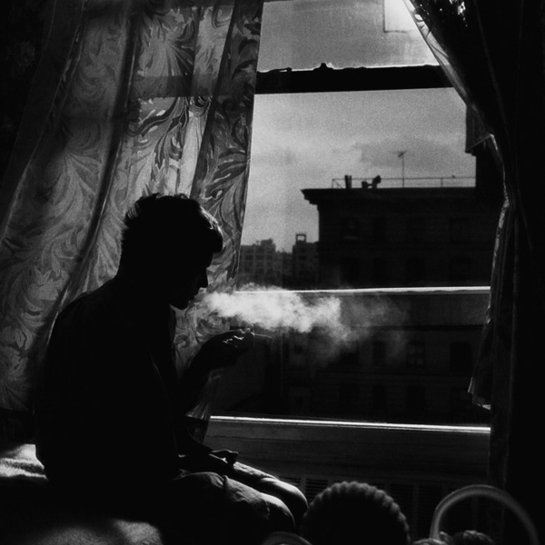018 donata wenders wlw