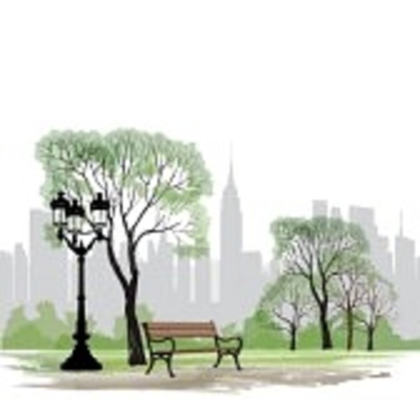  banc et lampadaire dans le parc sur la ville de fond paysage de central park  new york usa