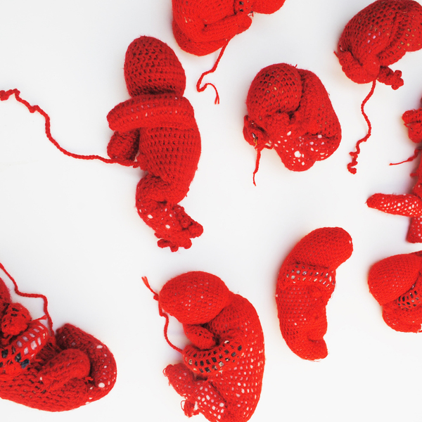 A corps rompu installation de 74 foetus en crochet 2015 atelier de lartiste 4 de%cc%81tail