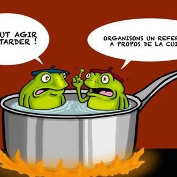 Cuisson grenouille