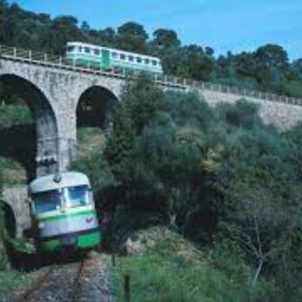 Il trenino verde