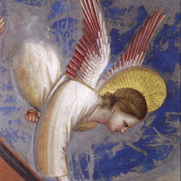 Giotto di bondone birth of jesus (detail of angel calling the shepherds)  1304 06. scrovegni chapel  padua