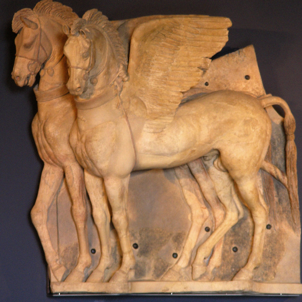 Etruscan horses tarquinia